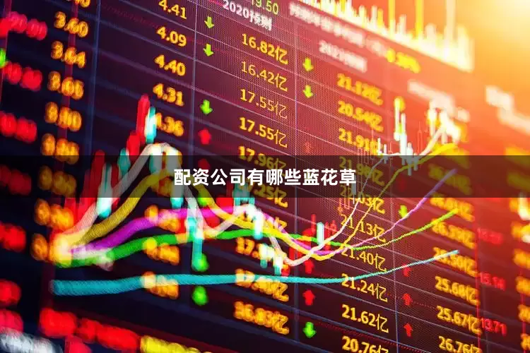 配资公司有哪些蓝花草