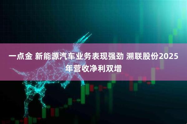 一点金 新能源汽车业务表现强劲 溯联股份2025年营收净利双增