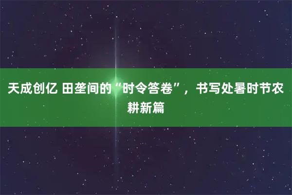 天成创亿 田垄间的“时令答卷”，书写处暑时节农耕新篇